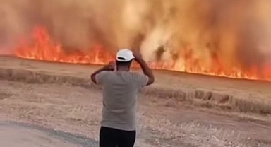Harran’da Buğday Tarlasında Büyük Yangın!