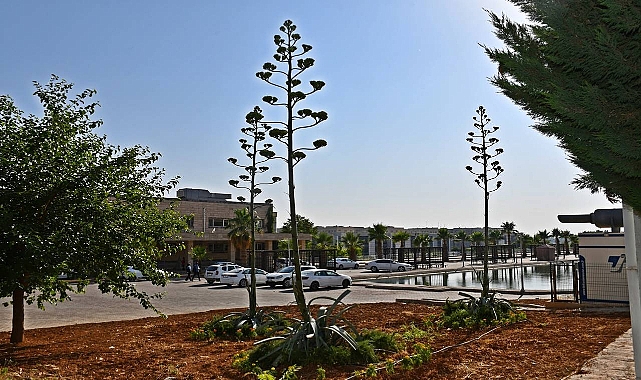 Sabır Çiçeği Harran Üniversitesi’nde Açtı