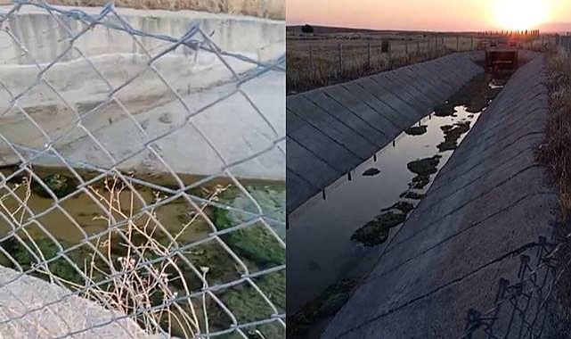 Şanlıurfa’da Pamuk Alarmı: Kanal Var, Su Yok