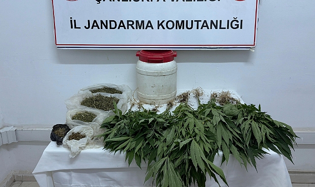 Suruç'ta Uyuşturucu Operasyonu: Kenevir ve Esrar Ele Geçirildi