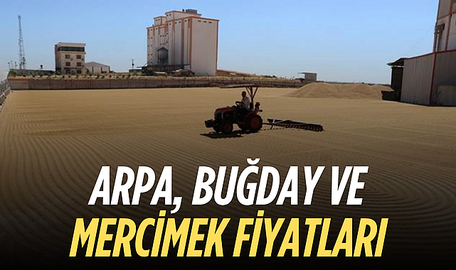 Tarla Ürünlerinde Güncel Fiyatlar Açıklandı! İşte Arpa ve Buğday Fiyatları