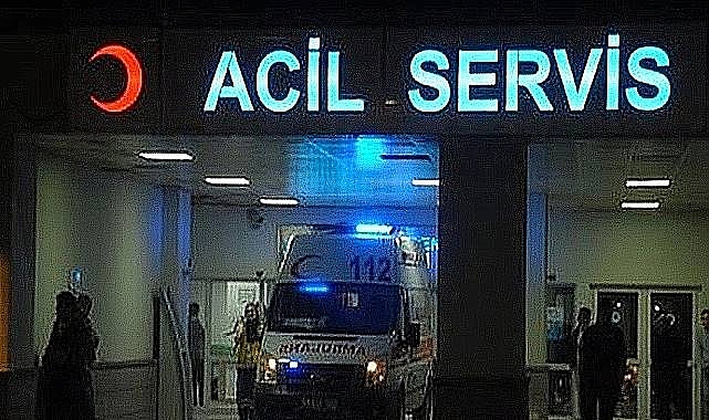 Harran'da Akrep Sokan 2 Yaşındaki Çocuk Yoğun Bakımda