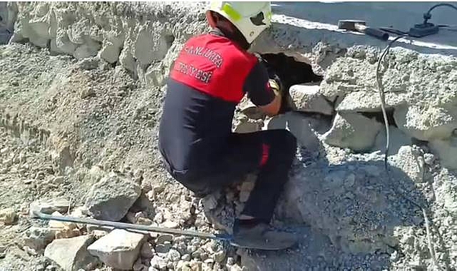Harran’da Kurtarma Operasyonu: 2 Kedi Yavrusu Mahsur Kaldıkları Yerden Kurtarıldı