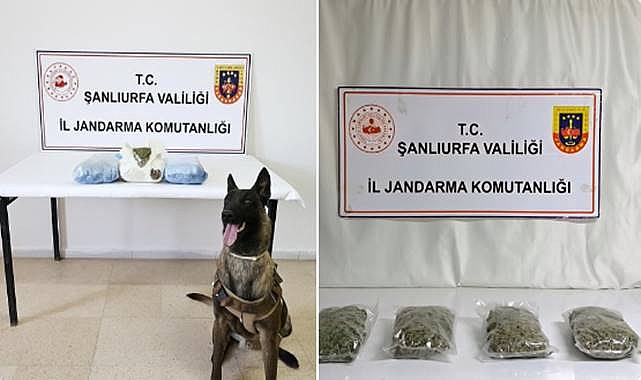 Şanlıurfa'da 6 Kilo Uyuşturucu Madde Ele Geçirildi