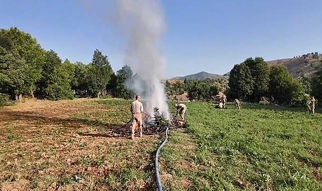 Şanlıurfa’dan Dev Operasyona Destek: 4 Milyon Kenevir Ele Geçirildi