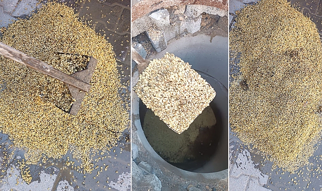 Suruç’ta Kanalizasyona Buğday Döken Vatandaş Hattı Tıkadı