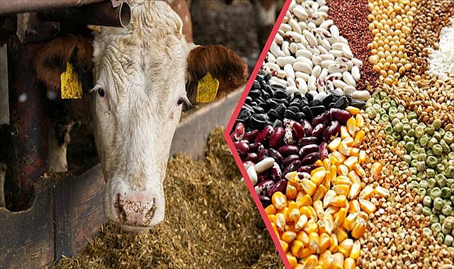 Tarımsal Destekleme Ödemesi Hesaplara Aktarılıyor