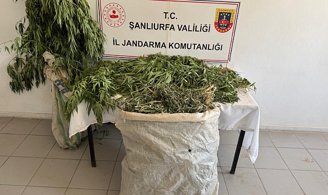 Birecik’te Uyuşturucu Operasyonu: 3 Gözaltı