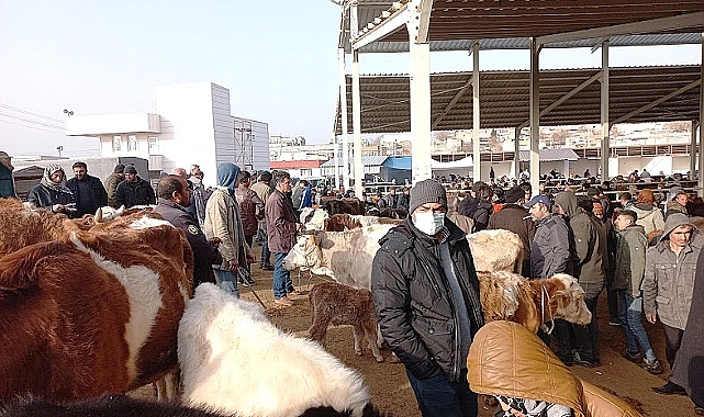 Şanlıurfa'daki Hayvan Pazarları Ne Zaman Açılıyor?