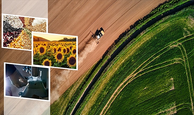 Tarımsal Destekleme Ödemesi Hesaplara Aktarılıyor