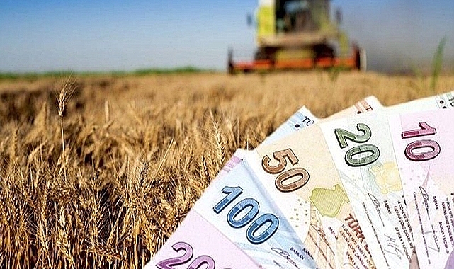 TMO, Temmuz ve Ağustos Alımlarında Üreticilere 3,8 Milyar TL Ödeme Yaptı