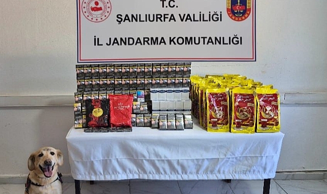 Viranşehir’de Kaçak Tütün ve Alkol Operasyonu: Çok Sayıda Malzeme Ele Geçirildi