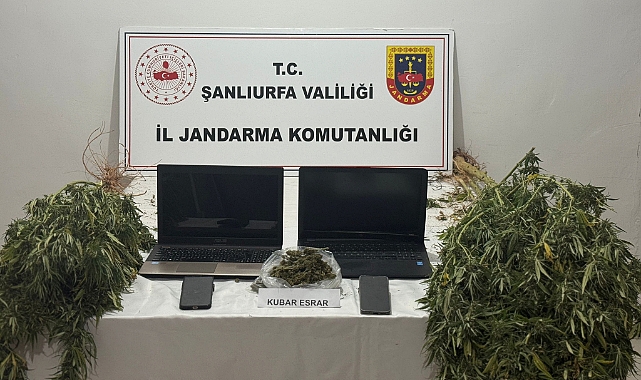 Akçakale’de Uyuşturucu ve Dolandırıcılık Operasyonu
