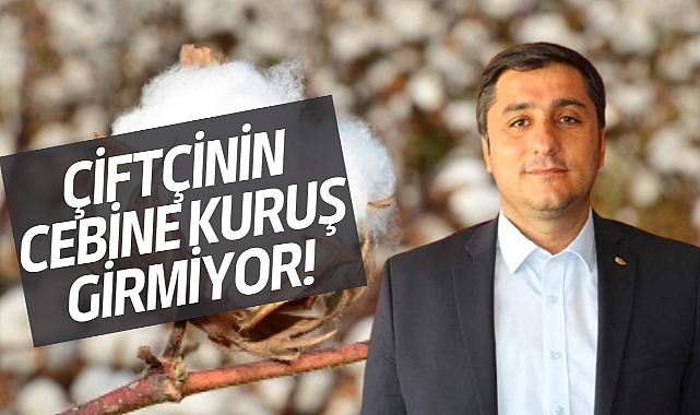 Pamuk Alım Fiyatları Tepki Çekti: Çiftçinin Cebine Kuruş Girmiyor