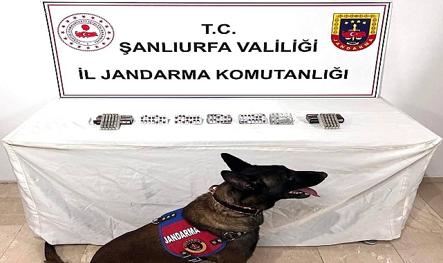 Şanlıurfa’da 60 Sentetik Hap ve 100 Fişek Ele Geçirildi