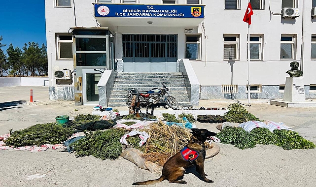 Şanlıurfa'da Jandarmadan Uyuşturucu ve Silah Operasyonu: 3 Gözaltı