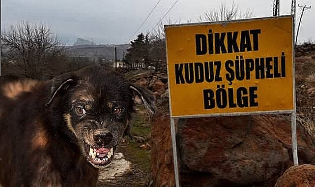 Şanlıurfa Valiliği'nden Kuduz İddialarına İlişkin Açıklama