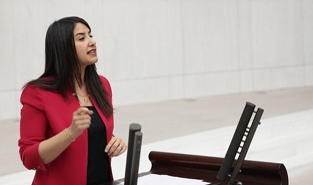 Urfa’da Boğulma Vakaları TBMM Gündeminde