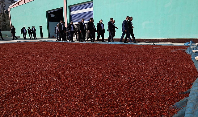 AK Parti İl Başkanı Günbegi’den SAF İsot ve Salça Fabrikasına Ziyaret