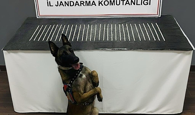 Eyyübiye’de Uyuşturucu Operasyonu: 3 Şüpheli Gözaltında