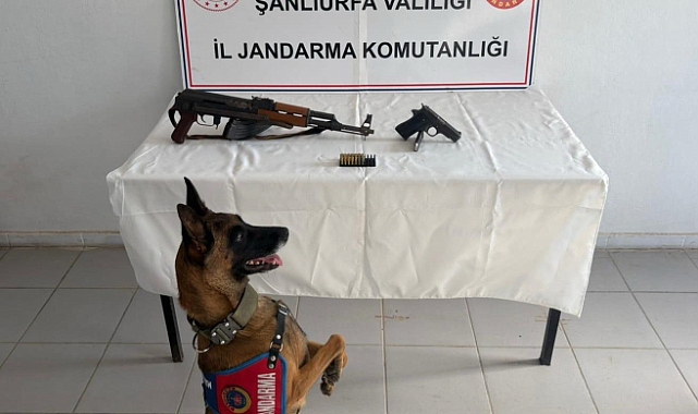 Şanlıurfa’da Ruhsatsız Silah Operasyonu!