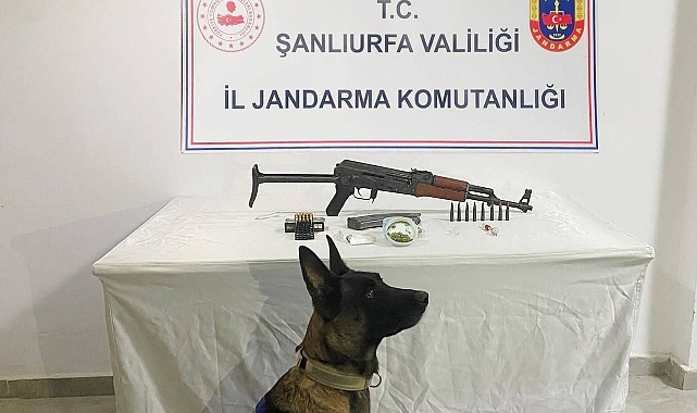 Suruç’ta Uyuşturucu Operasyonu: Çok Sayıda Madde ve Silah Ele Geçirildi