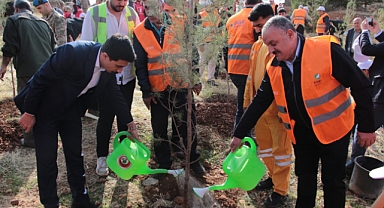DEPSAŞ Enerji’den Makam Dağı’na 3 Bin Fidanlık Yeşil Dokunuş
