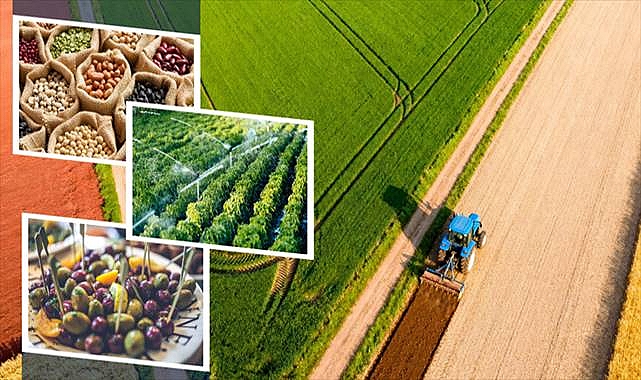 Destekleme Ödemesi Bugün Hesaplara Aktarılıyor