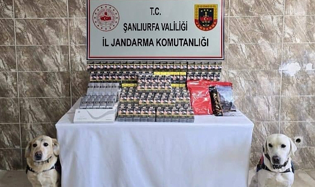Şanlıurfa’da Kaçak Sigara Ele Geçirildi