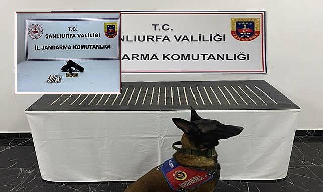 Şanlıurfa’da Narkotik Operasyonu: 4 Şüpheli Yakalandı
