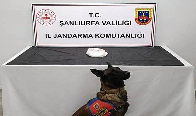 Şanlıurfa’da Uyuşturucu Operasyonu!