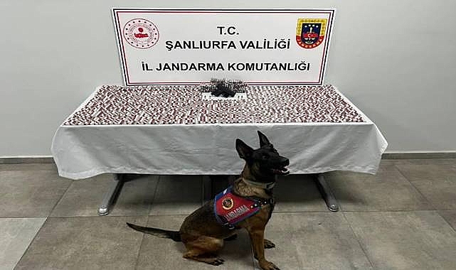 Şanlıurfa'da Uyuşturucu Ticareti Yapan Şahıslar Gözaltına Alındı!