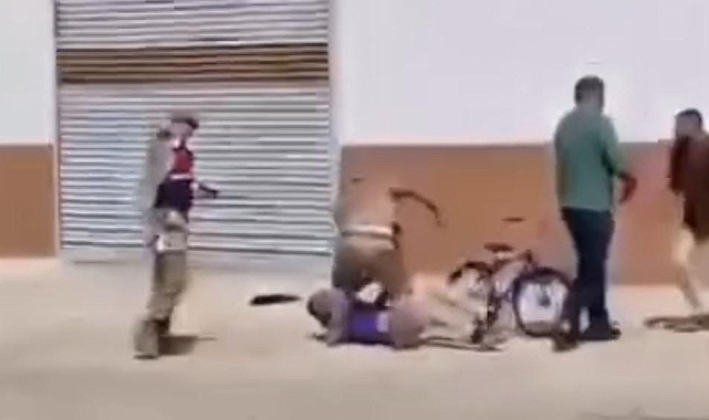 Şanlıurfa’nın Birecik ilçesinde arazi kavgası