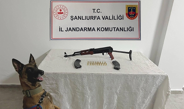 Siverek’te Ruhsatsız Silah Operasyonu: 1 Tabanca ve Tüfek Ele Geçirildi
