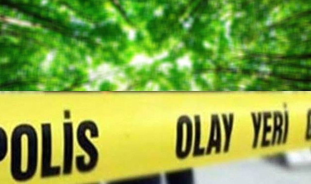 Urfa'da Ağaca Asılı Halde Ceset Bulundu