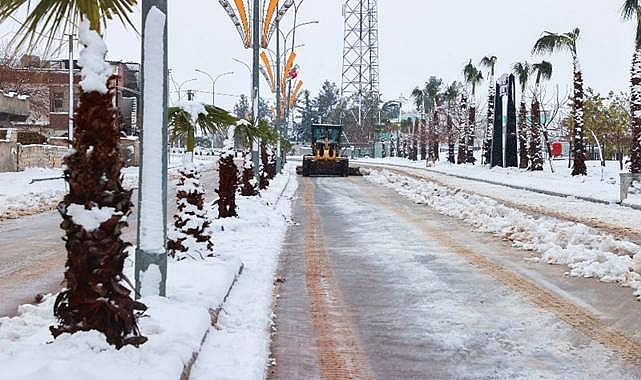 Harran'da Kar Yağışı Etkili Oldu: Belediye Ekipleri Yolları Açtı