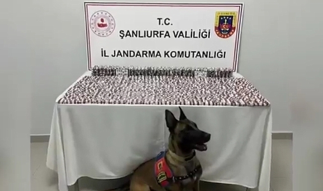 Jandarma 29 İlde Dev Operasyon Düzenledi: Aralarında Şanlıurfa da Var
