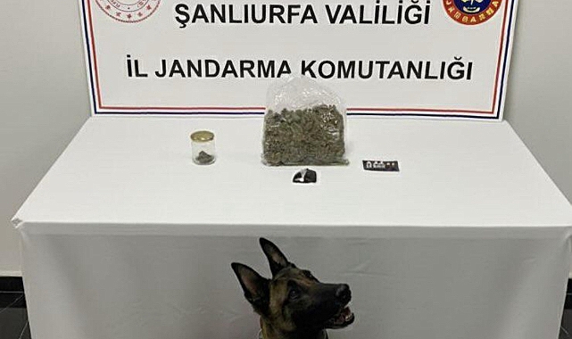 Şanlıurfa’da Uyuşturucu Operasyonu