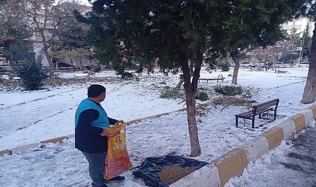 Soğuk Hava Koşullarında Can Dostları Unutulmadı