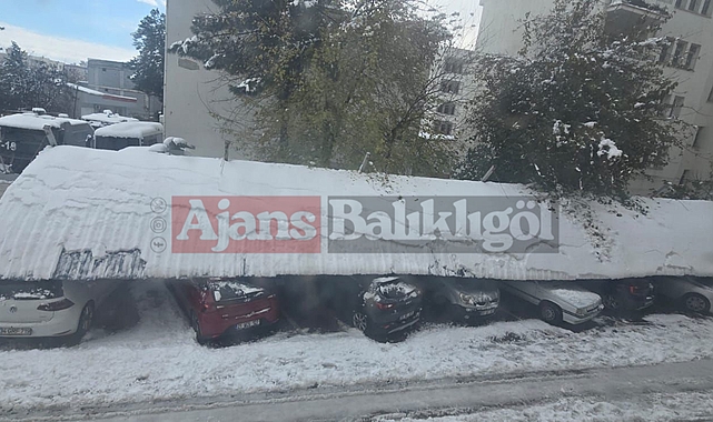 Viranşehir’de Karın Ağırlığına Dayanamayan Otopark Tentesi Çöktü: Araçlar Hasar Gördü