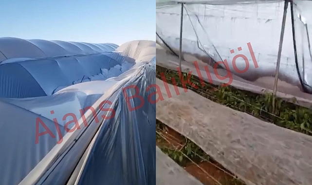 Hilvan'da Seralar Kardan Büyük Zarar Gördü