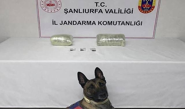 Şanlıurfa’da 2 Kilogram Esrar Ele Geçirildi