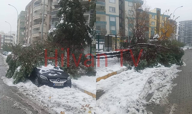 Şanlıurfa’da Yoğun Kar Yağışı Büyük Hasara Yol Açtı