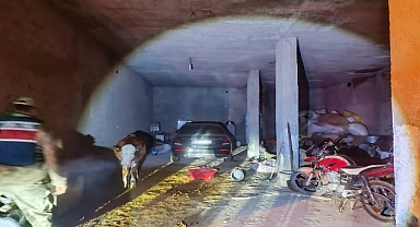 Urfa’da Çalıntı Araç Ahırda Bulundu