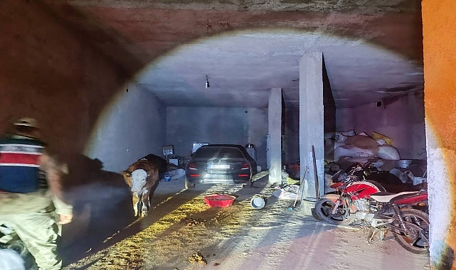 Urfa’da Çalıntı Araç Ahırda Bulundu
