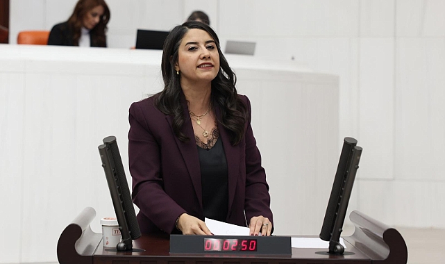 Çocukların Güvenliği Gündemde: Epstein Dosyaları Üzerinden TBMM’ye Araştırma Çağrısı