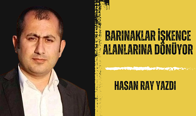 Barınak Gerçekliği: Barınak mı, Cezalandırma Alanı mı?