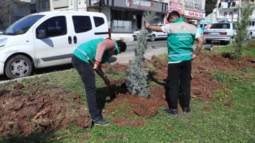 Haliliye'de Parklarda Bahar Hazırlığı Sürüyor