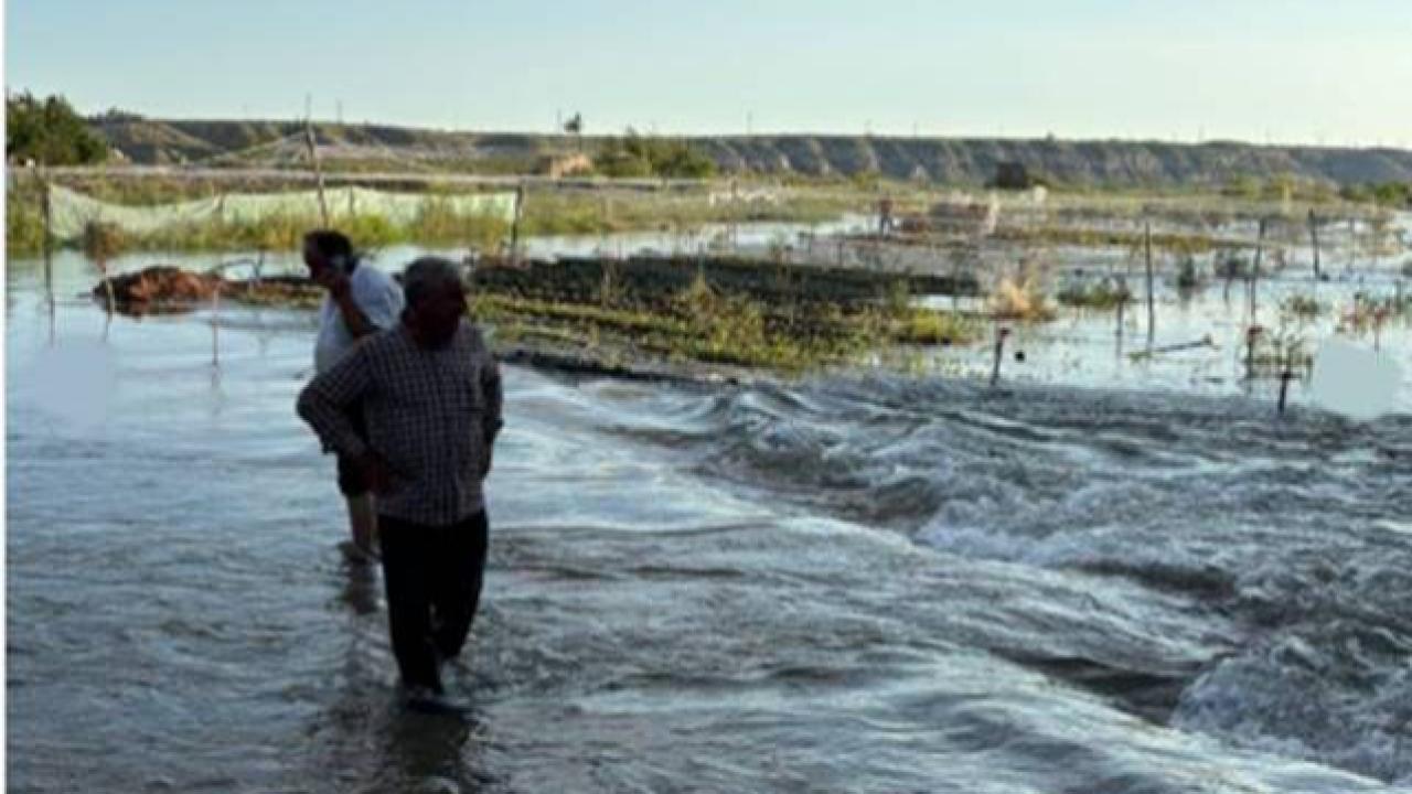 Birecik’te Baraj Suyu Yükseldi, Fıstık Fideleri Zarar Gördü