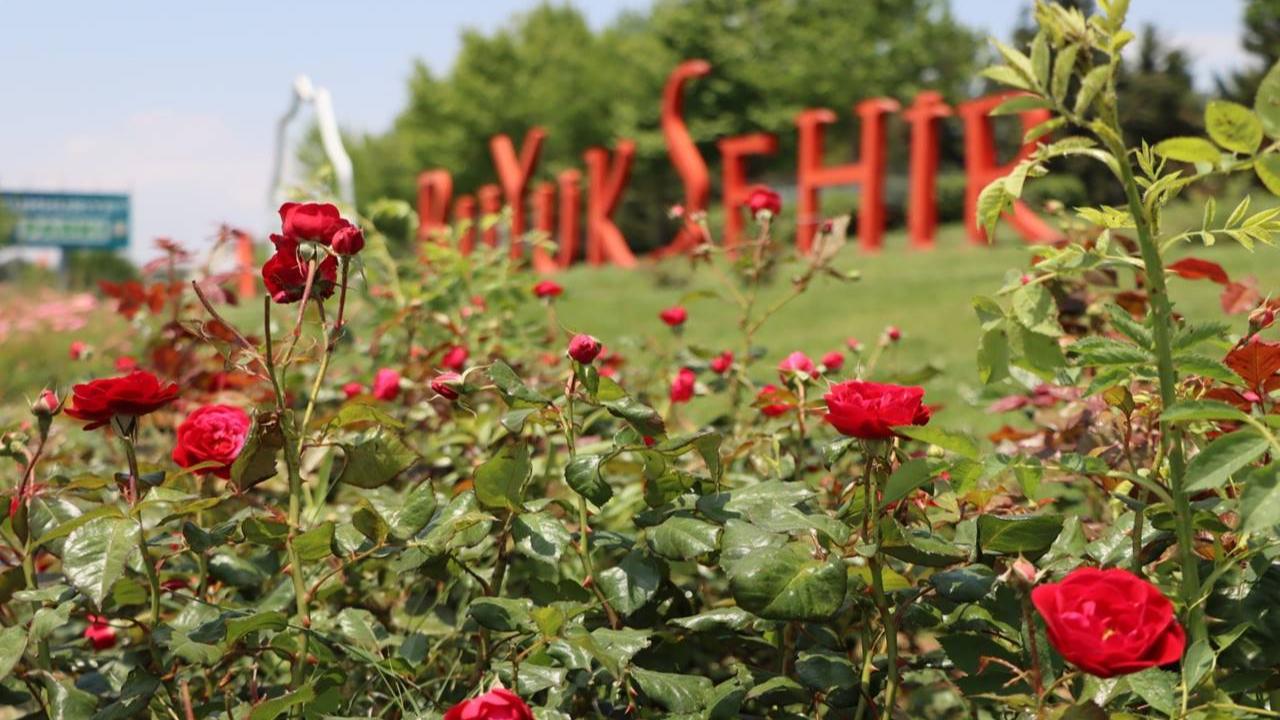 Büyükşehir Kendi Üretti, Şanlıurfa’yı Çiçeklerle Süsledi